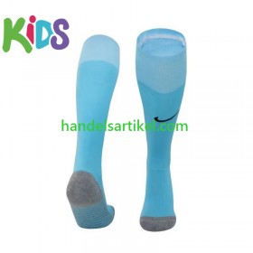 Tottenham Hotspur Kinder Socken Heim 2023/24